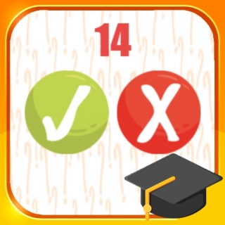 Learn Maths at Home Quiz Math