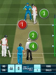 Pro Cricket 2017