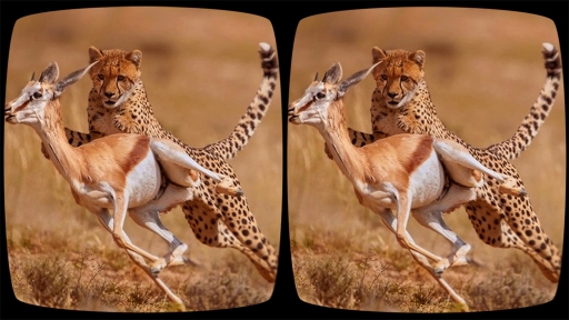 Safari VR