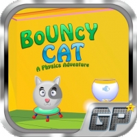Bouncy Katze