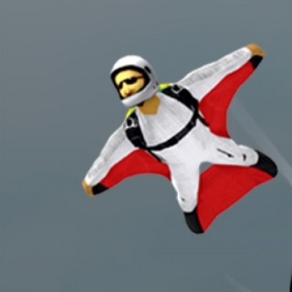 Wingsuit