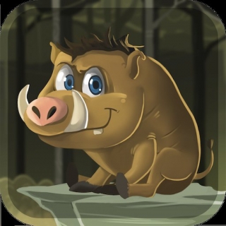 Wild Pig Endless Runner