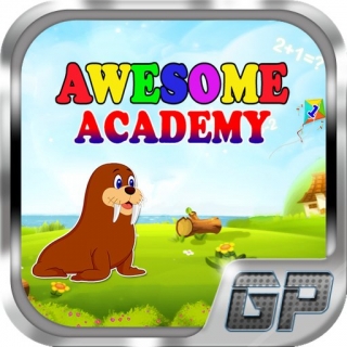 Awesome Academy