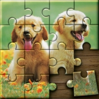 Jigsaw Puzzle Fever