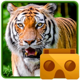 Amazon Rainforest VR Zoo Animals