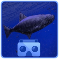 Be A Fish VR Simulator