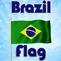 Brasilianische Flagge