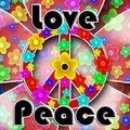 Liebe Frieden