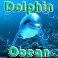 Delphin Ozean
