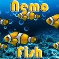 Nemo Fisch