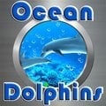Ozean Delphine