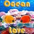 Ozean Liebe
