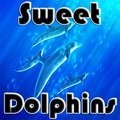 Süßer Delphin