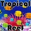Tropisches Riff