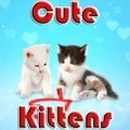 Süße Kätzchen