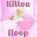 Katzenschlaf