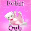 Polar Club