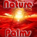 Nature Palmen
