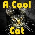 Eine coole Katze