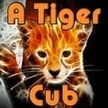 Ein Tigerclub
