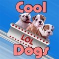 Coole Hunde