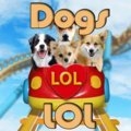 Hunde LOL