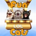 Lustige Katzen