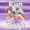 Lustige Hunde
