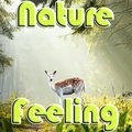 Natur Gefühl