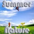 Sommer Natur