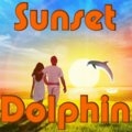 Sonnenuntergang Delphin