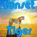 Sonnenuntergang Tiger