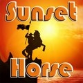 Sonnenuntergang Pferd