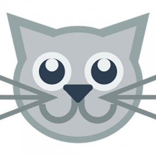 Graue Katze