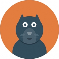 Katzenprofil