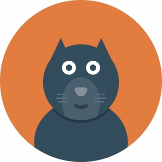 Katzenprofil