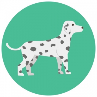 Hund Dalmatiner Icon