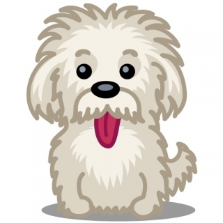 Hund Einstein