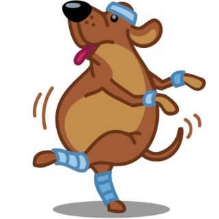 Hund Fitness
