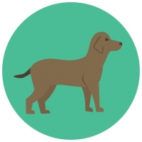 Hund Grüner Icon