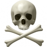 Horror Skull_And_Bones