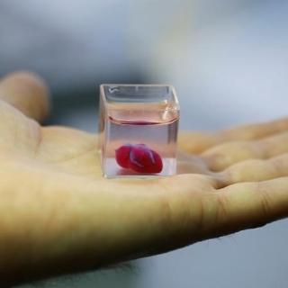 Científicos israelíes crean el primer corazón en 3D con tejido humano