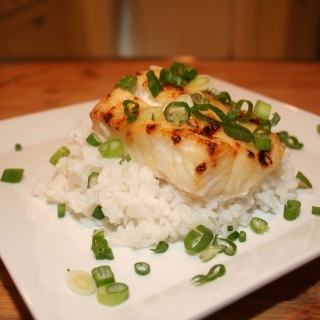 Miso Glazed Lingcod with Sticky Rice