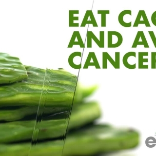 Eat cactus and avoid cancer.