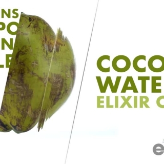 Coconut water, elixir of life.