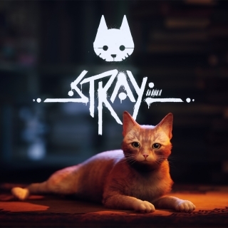 ‘Stray’ Publisher Is Raising Money For Homeless Cats