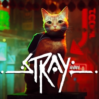 Does The Cat Die In Stray?