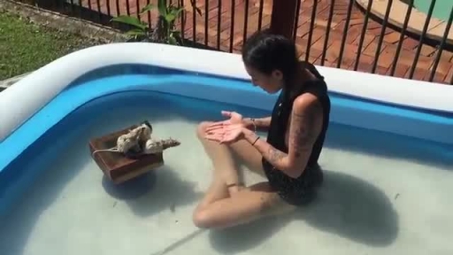 Cute Rat Performs Huge Jump While Having a Swim