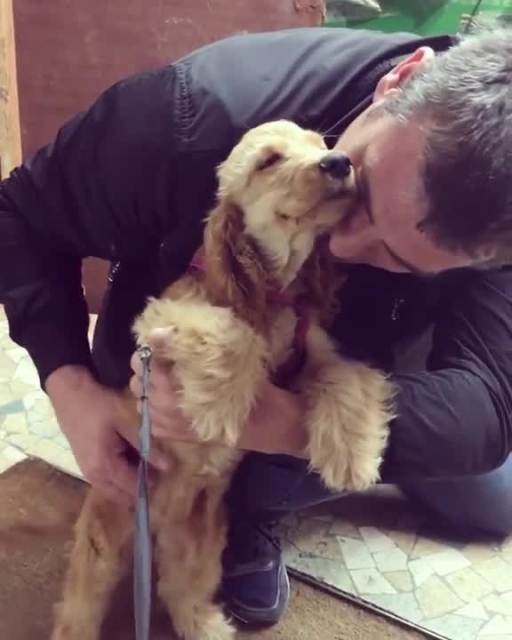 
Adorable Cocker Spaniel Just Loves Getting Belly Rubs
