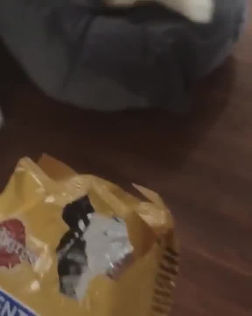 Cheeky Husky Gets Caught Stealing Doggy Treats